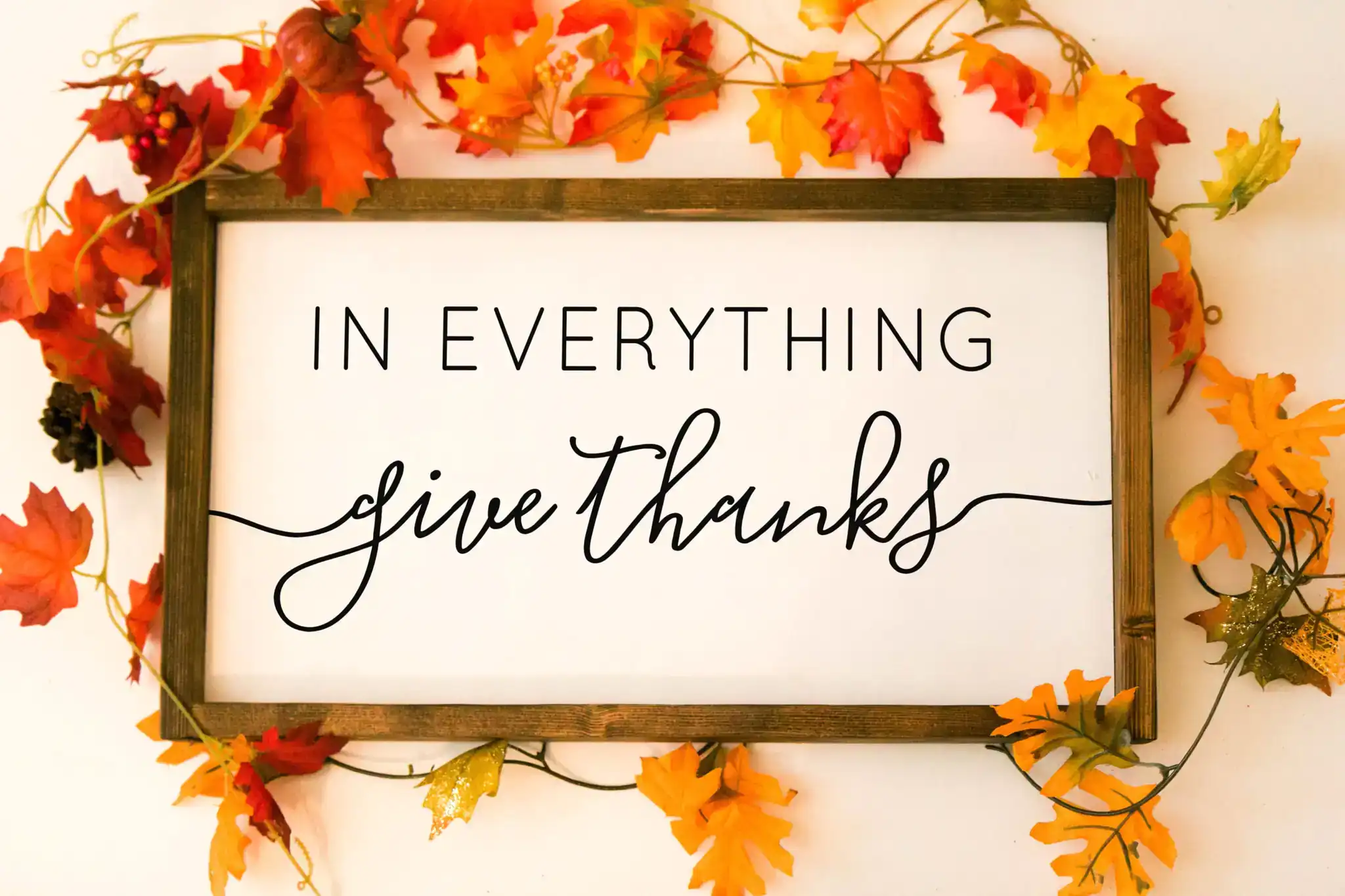 In Everything, Give Thanks!